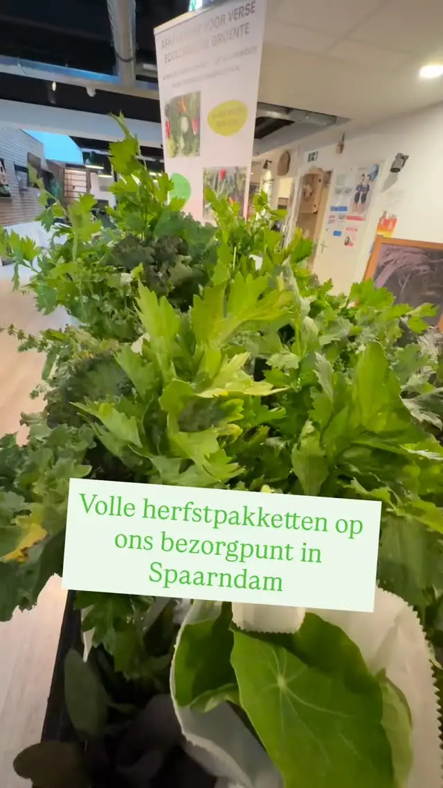In @hartvanspaarndam bezorgen we wekelijks jouw verse groente!
#csa #oogst #overvloed #zelfoogst #groente #ecologisch #gifvrij #haarlem #spaarndam #velserbroek #ijmuiden #spaarnwoude #velsenzuid #haarlemnoord #seizoensgroente #boerenerfspaarnwoude