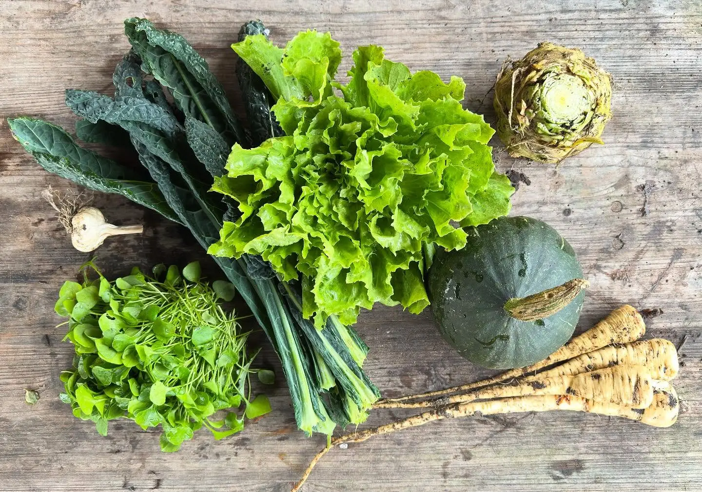 Oogst vd week!

#csa #oogst #overvloed #zelfoogst #groente #ecologisch #gifvrij #haarlem #spaarndam #velserbroek #ijmuiden #spaarnwoude #velsenzuid #haarlemnoord #seizoensgroente #boerenerfspaarnwoude #vers #natuurlijk #samen #eetlokaal