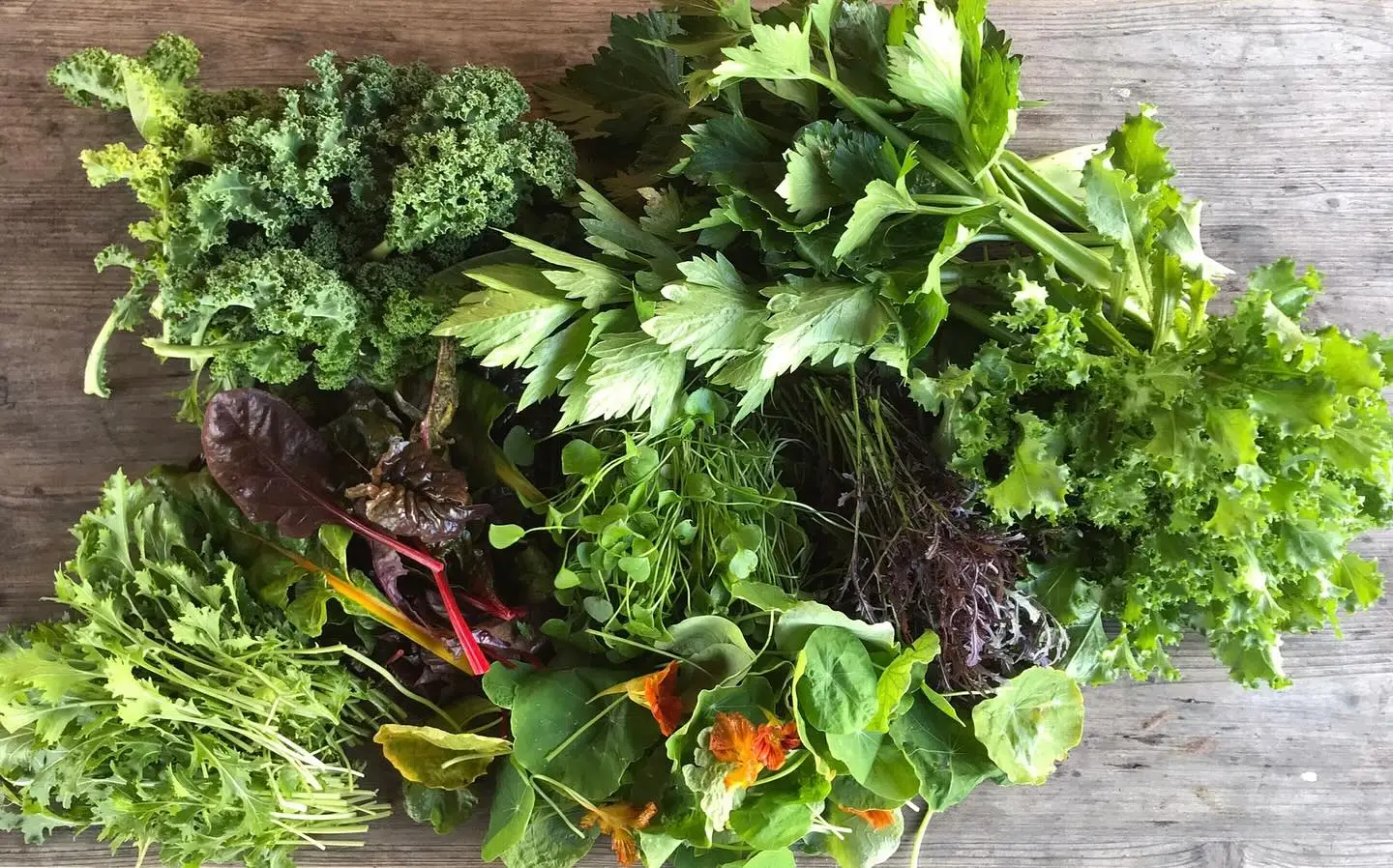 Oogst van de week met veel bladgroen deze werk.
We gaan alweer de laatste paar weken oogst in!

#csa #oogst #overvloed #zelfoogst #groente #ecologisch #gifvrij #haarlem #spaarndam #velserbroek #ijmuiden #spaarnwoude #velsenzuid #haarlemnoord #seizoensgroente #boerenerfspaarnwoude #vers #natuurlijk #samen #eetlokaal