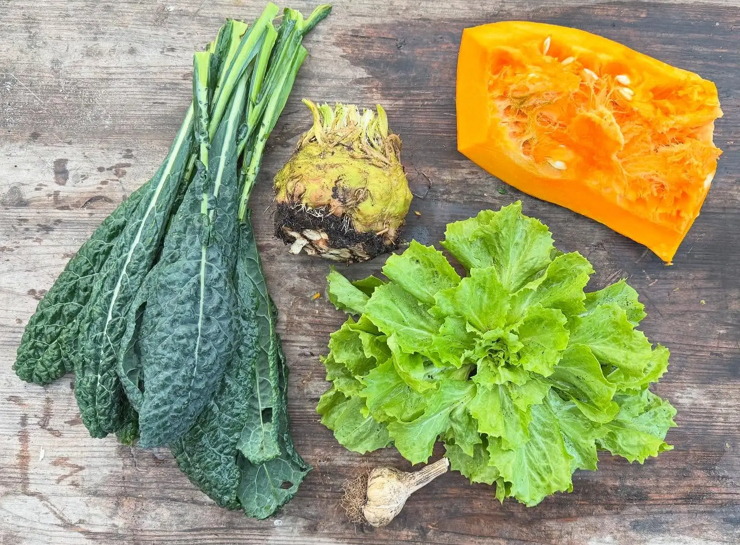 De eerste vorst is geweest, maar wij gaan nog even door!

#csa #oogst #overvloed #zelfoogst #groente #ecologisch #gifvrij #haarlem #spaarndam #velserbroek #ijmuiden #spaarnwoude #velsenzuid #haarlemnoord #seizoensgroente #boerenerfspaarnwoude #vers #natuurlijk #samen #eetlokaal