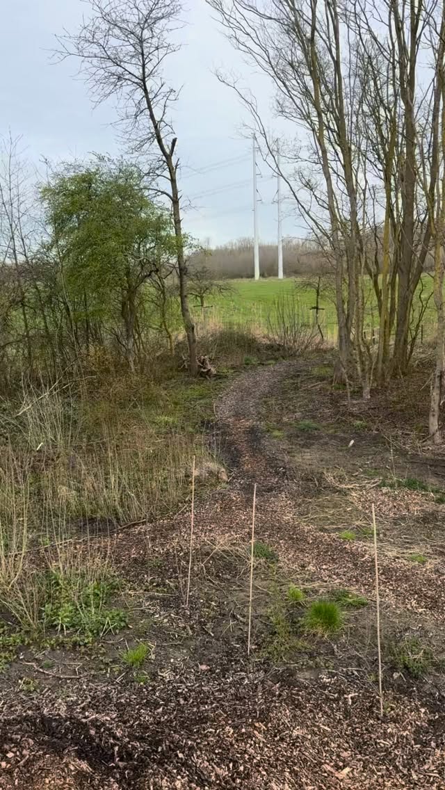 Voor het #boerenerfspaarnwoude leggen wij een voedselbos aan. Supertof on te doen. En na veel aanplant van de winter is afgelopen week de vijver gegraven. 

Dit wordt een natuurlijke vijver vol met eetbare waterplanten. Van de grond die eruit kwam hebben we hoge wallen gemaakt. Zo krijgen we mooie hoogteverschillen in het bos! 

#voedselbos #permacultuur #wildplukken #ecologisch