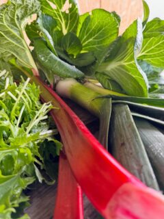 Deze week oogst je bij ons onder andere:
-rabarber
-prei
-paksoi
-raapsteel

#haarlem #oogst #tuinderij #ecologisch #lokaal