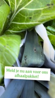 Wel superverse lokale groente! En dat zonder zelf te oogsten!

We hebben nog ruimte voor onze afhaalpunten bij @thecaptainspantry en @hartvanspaarndam. Aanmelden doe je via onze site!

Zo eet jij elke week onbespoten groente vol variatie! Goed voor jou en de natuur!

#spaarndam #ecologisch #haarlem #oogst #gezond