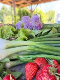 Ja ze zijn er weer! De eerste aardbeien van het seizoen.  Deze week oogst je onder andere:
-aardbei
-sla
-radijs
-lenteui
-rucola
-verse kruiden

#oogst #zelfoogst #ecologisch #groente #duurzaam