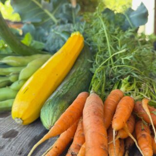 Deze week oogst je bij ons oa:
-wortel
-courgette
-komkommer
-tuinboon
-prei

#ecologisch #haarlem #zelfoogst #natuurlijk #duurzaamleven