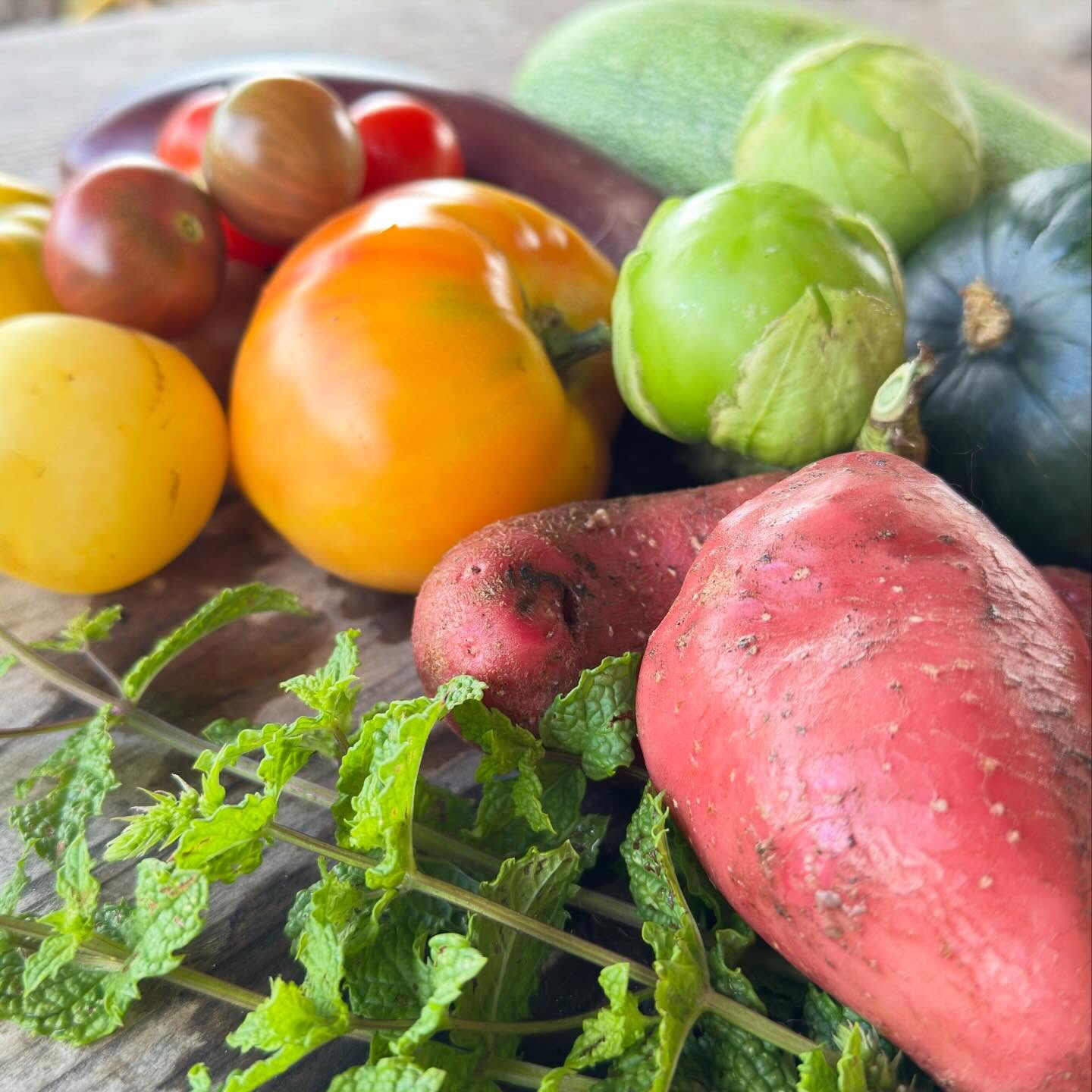 Wat zijn we blij met de regen! Deze week oogst je bij ons onder andere:
-tomatillo
-aardappel
-tomaat
-courgette