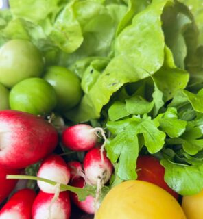 We gaan het voorjaar nog een keertje overdoen! Dus deze week oogst je onder andere
-raapsteel
-radijs
-kropsla
-rucola
En ook nog het staartje zomer met:
-tomaat
-zappalito
#oogst #duurzaam #groente #csa #zelfoogst